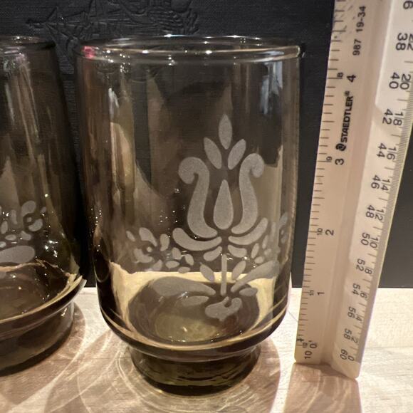 12 Pfaltzgraff Village 4.75" Etched Brown Smoke Libbey Glass 12 oz Tumblers NOS! - Picture 8 of 9